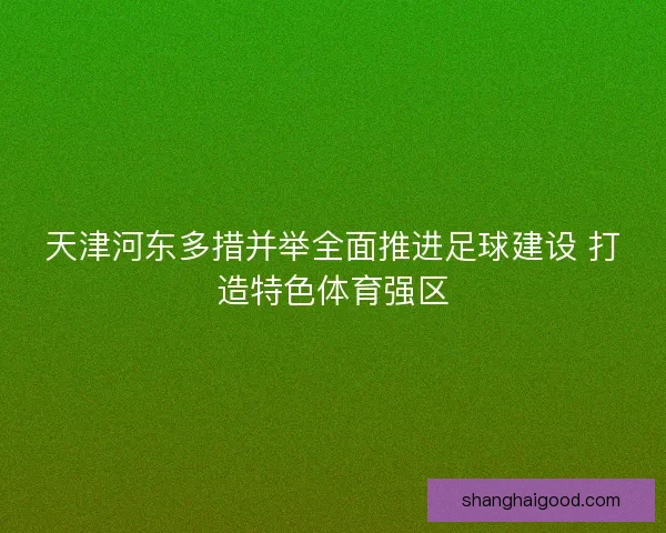 天津河东多措并举全面推进足球建设 打造特色体育强区